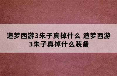 造梦西游3朱子真掉什么 造梦西游3朱子真掉什么装备